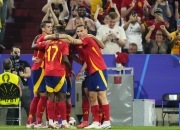 米兰APP下载-比利时逆转西班牙，伊布点燃赛场