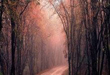 米兰百家乐-河床迎战鹿岛鹿角，防守反击或成致胜关键