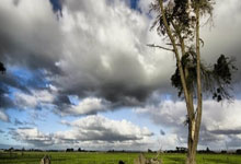 米兰百家乐-河床迎战鹿岛鹿角，防守反击或成致胜关键