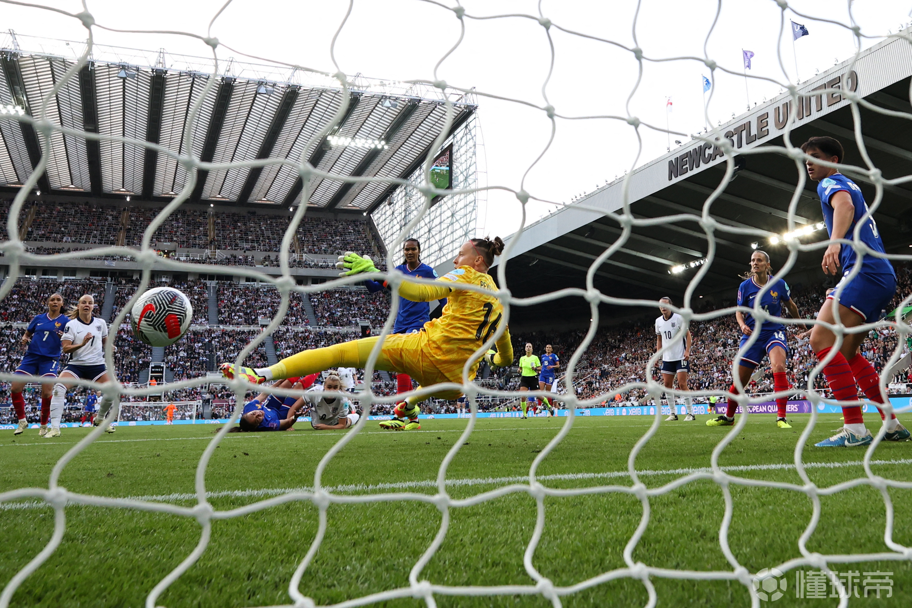 热情洋溢的球场氛围引人入胜的简单介绍