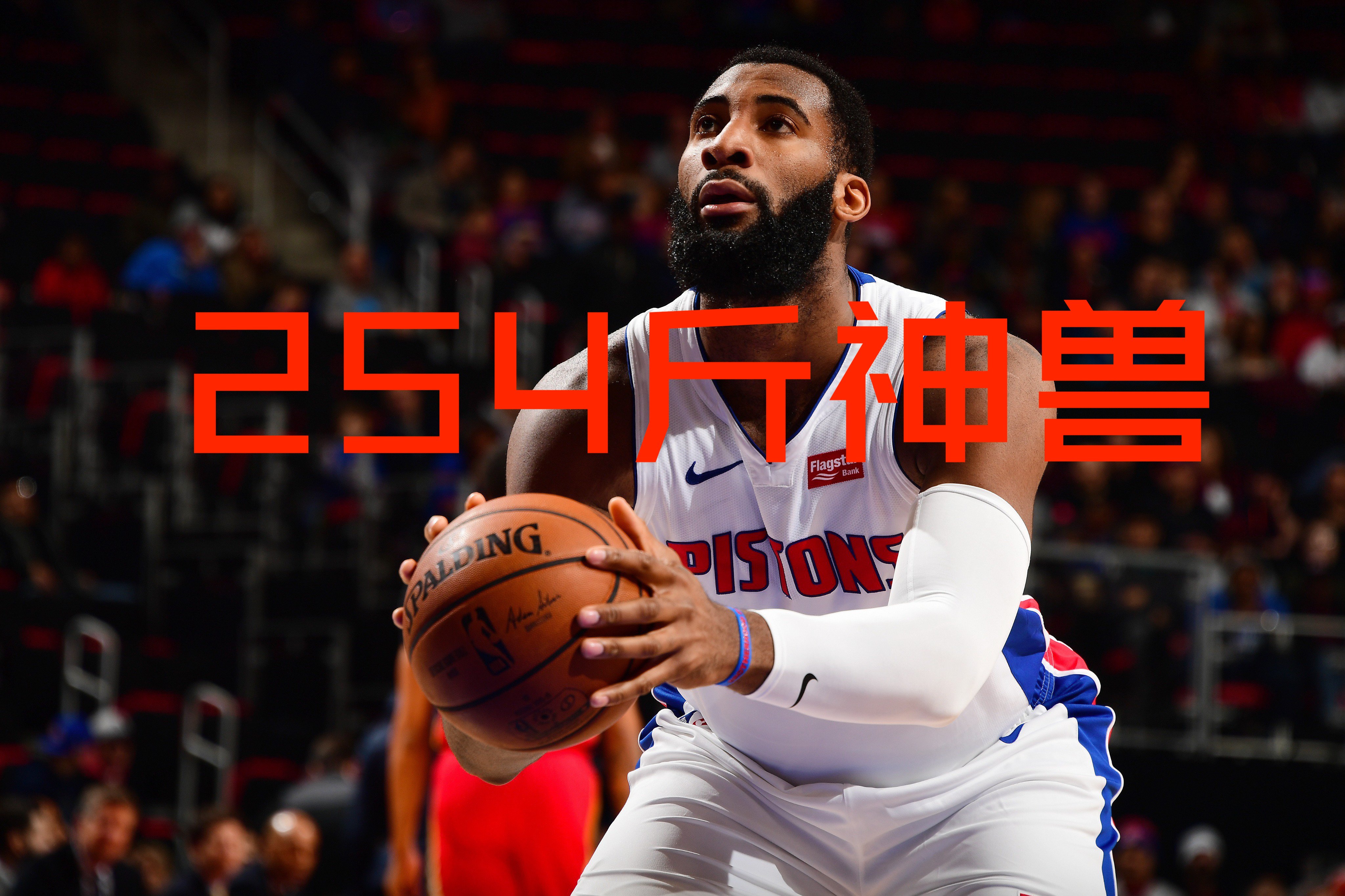 悍将掠夺冠军，比赛现场掌声雷动的简单介绍