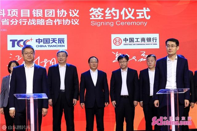 泰国选手携手合作，共赢金牌